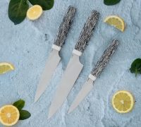 Набор Кухонных ножей из стали N690  купить на сайте koval-knife.shop