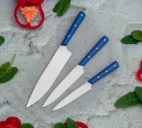 Набор Кухонных ножей из стали N690  купить на сайте koval-knife.shop